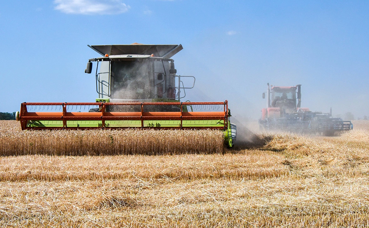 Роман Соколов / ТАСС