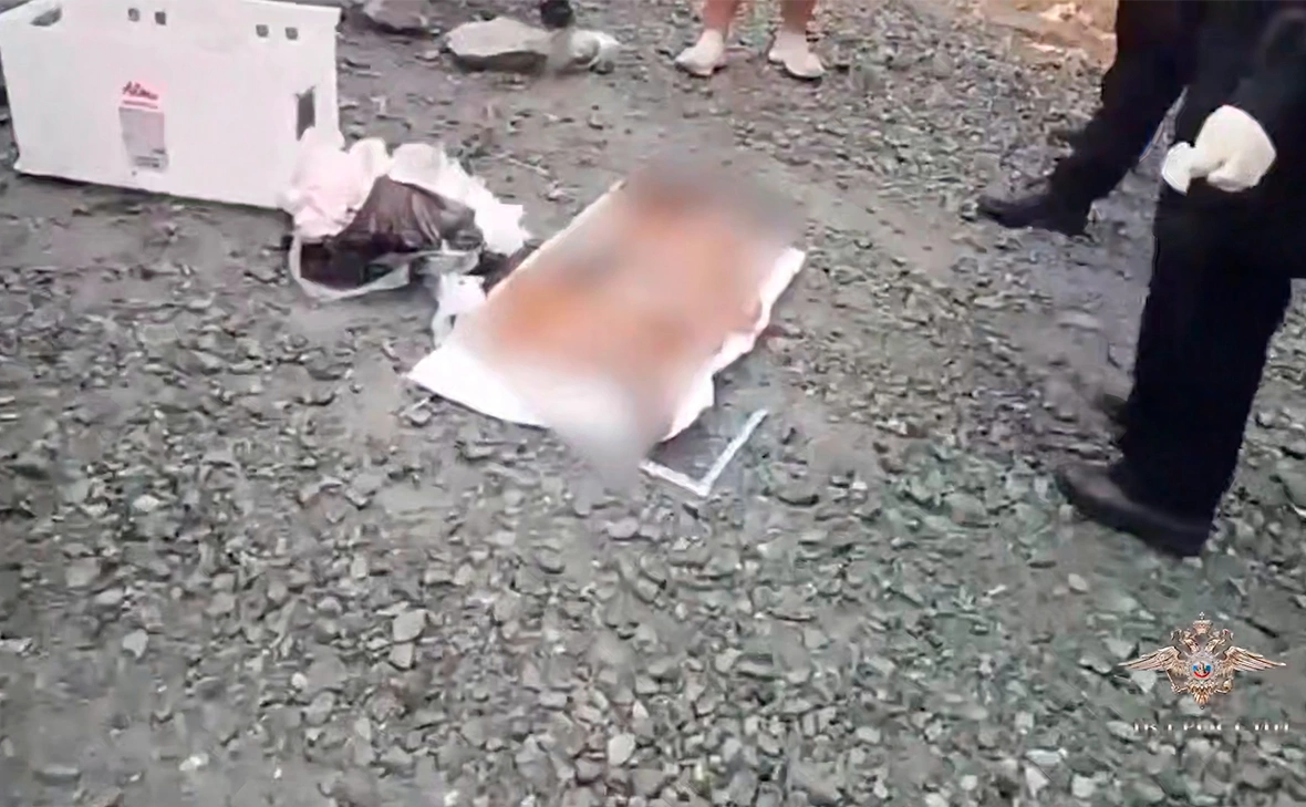 IrinaVolk_MVD / Telegram