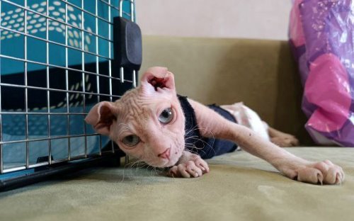 Фото: из личного архива Анны Павловской