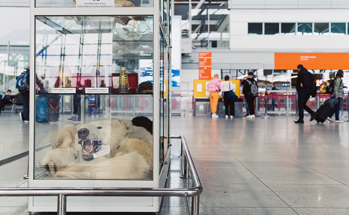 Poppy Pix / Shutterstock
