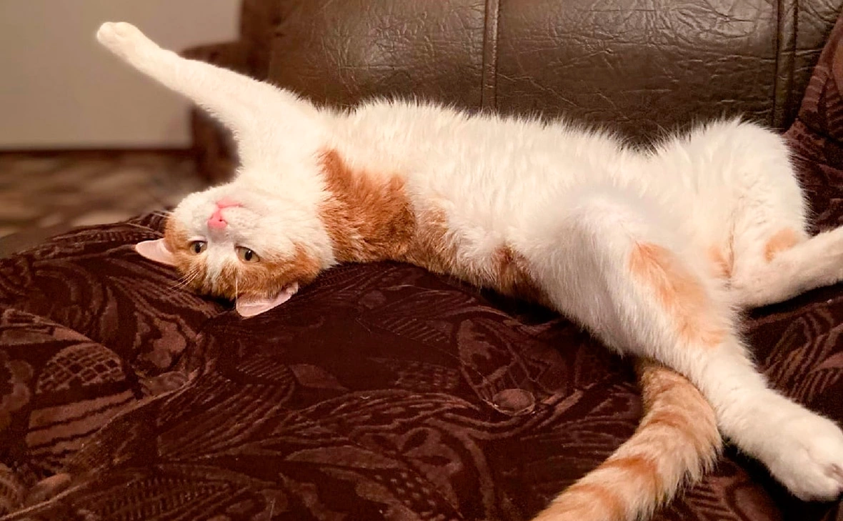 Ольга Кудряшова / VK