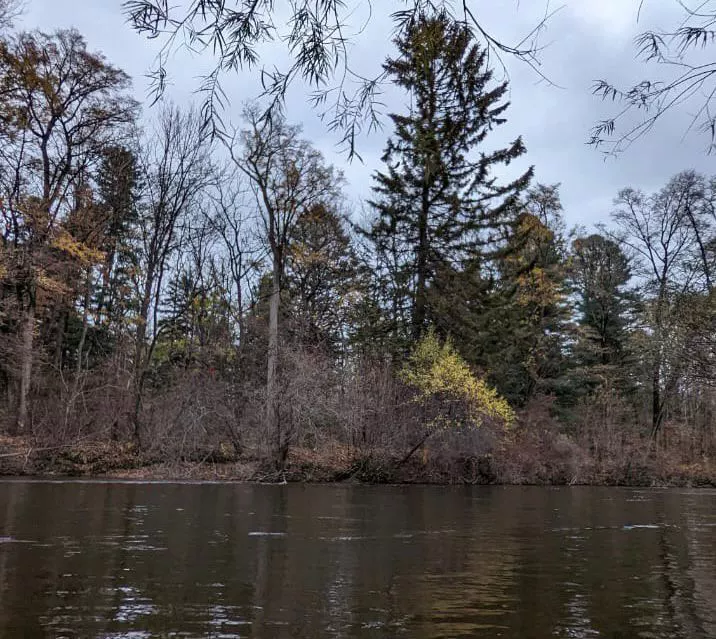 РБК Приморье