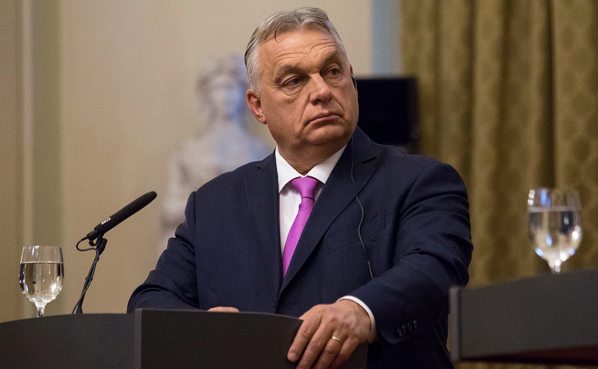 Zuzana Gogova / Getty Images