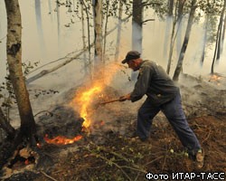 МЧС РФ: Площадь лесных пожаров за сутки увеличилась