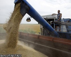 Минсельхоз увеличил прогноз по экспорту зерна до 18 млн т