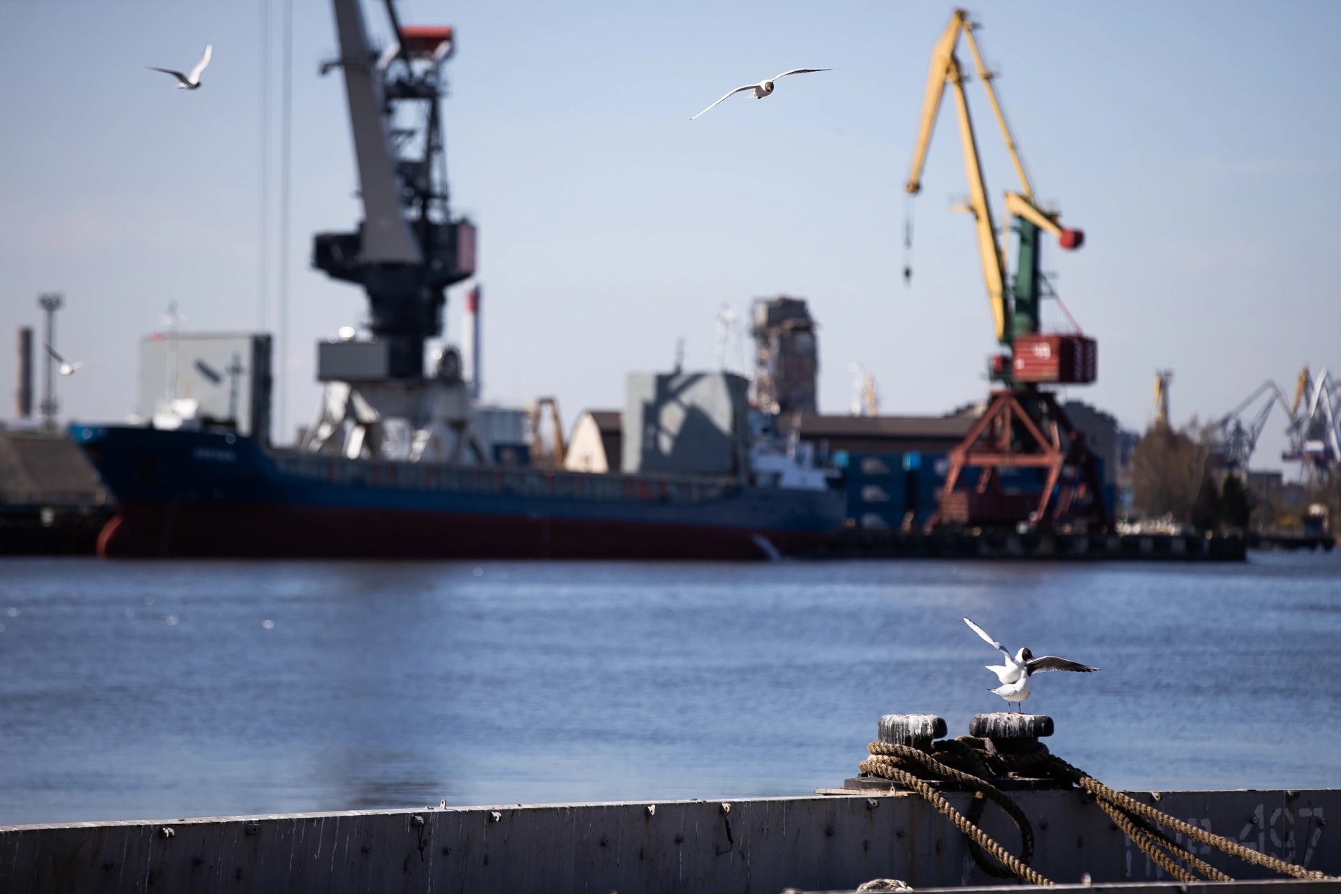 Александр Подгорчук