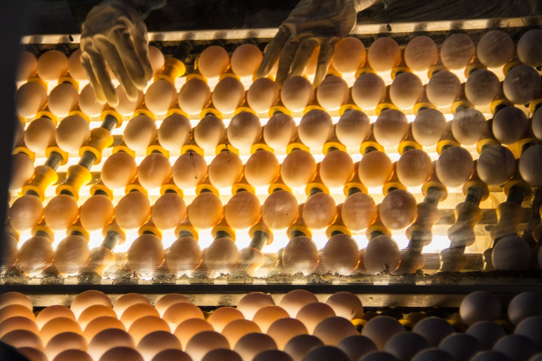 Фото: Илья Московец / URA.RU