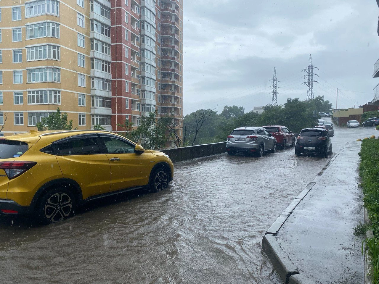 РБК Приморье