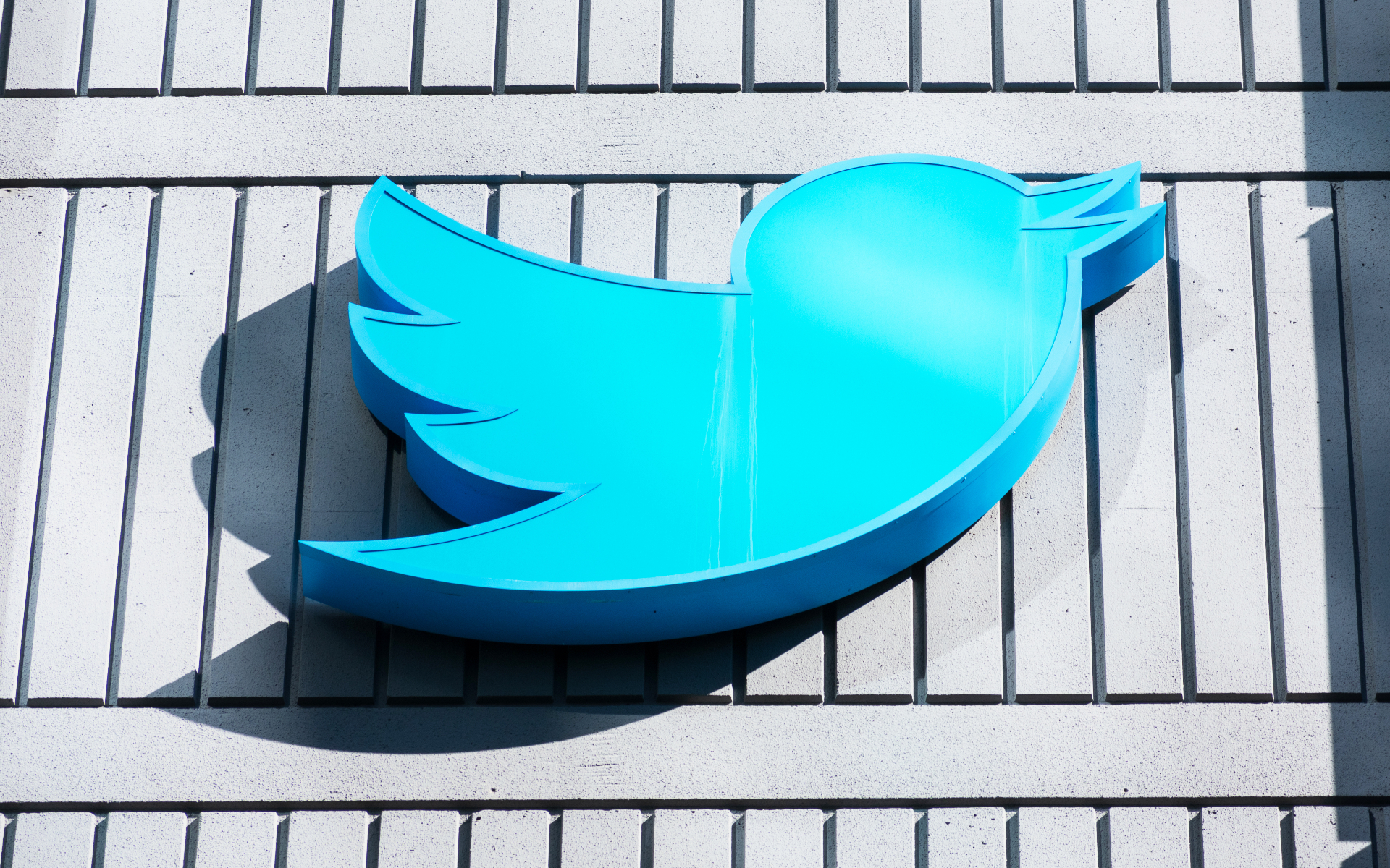 Акции Twitter растеряли весь полученный на покупке Маском рост