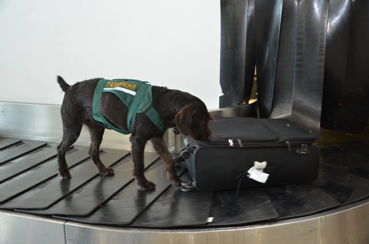 Пресс-служба Сибирского таможенного управления