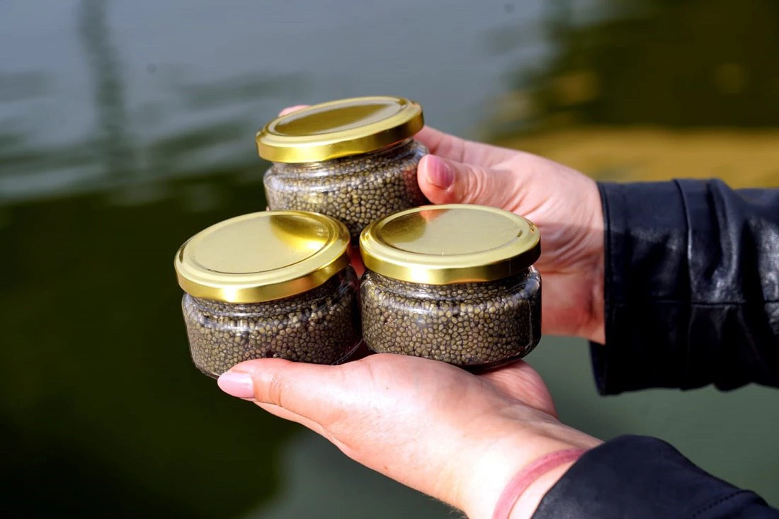 пресс-служба регионального минсельхоза