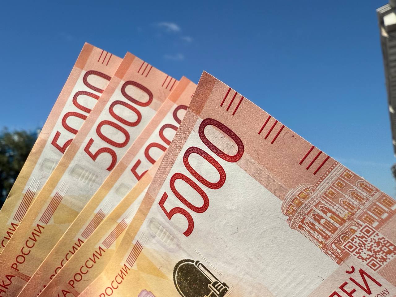 Фото: РБК Приморье