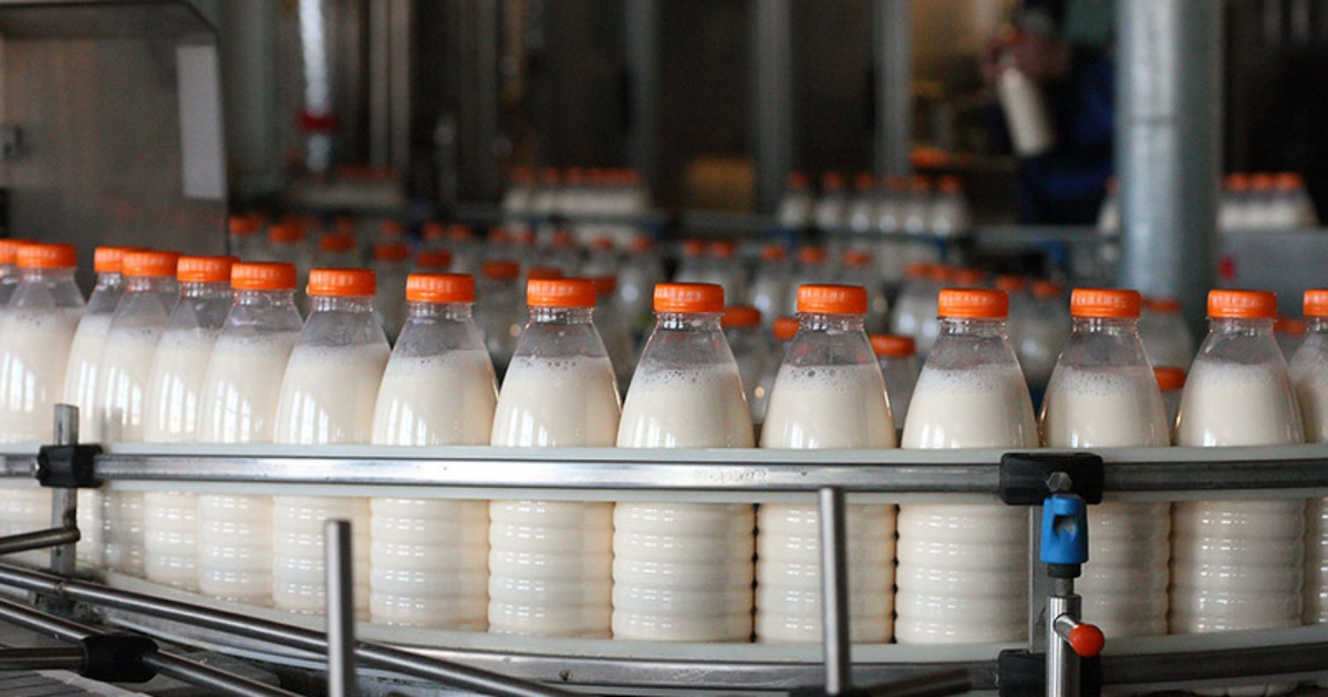 Молоко под пальмой — Журнал «Агроинвестор» – Агроинвестор