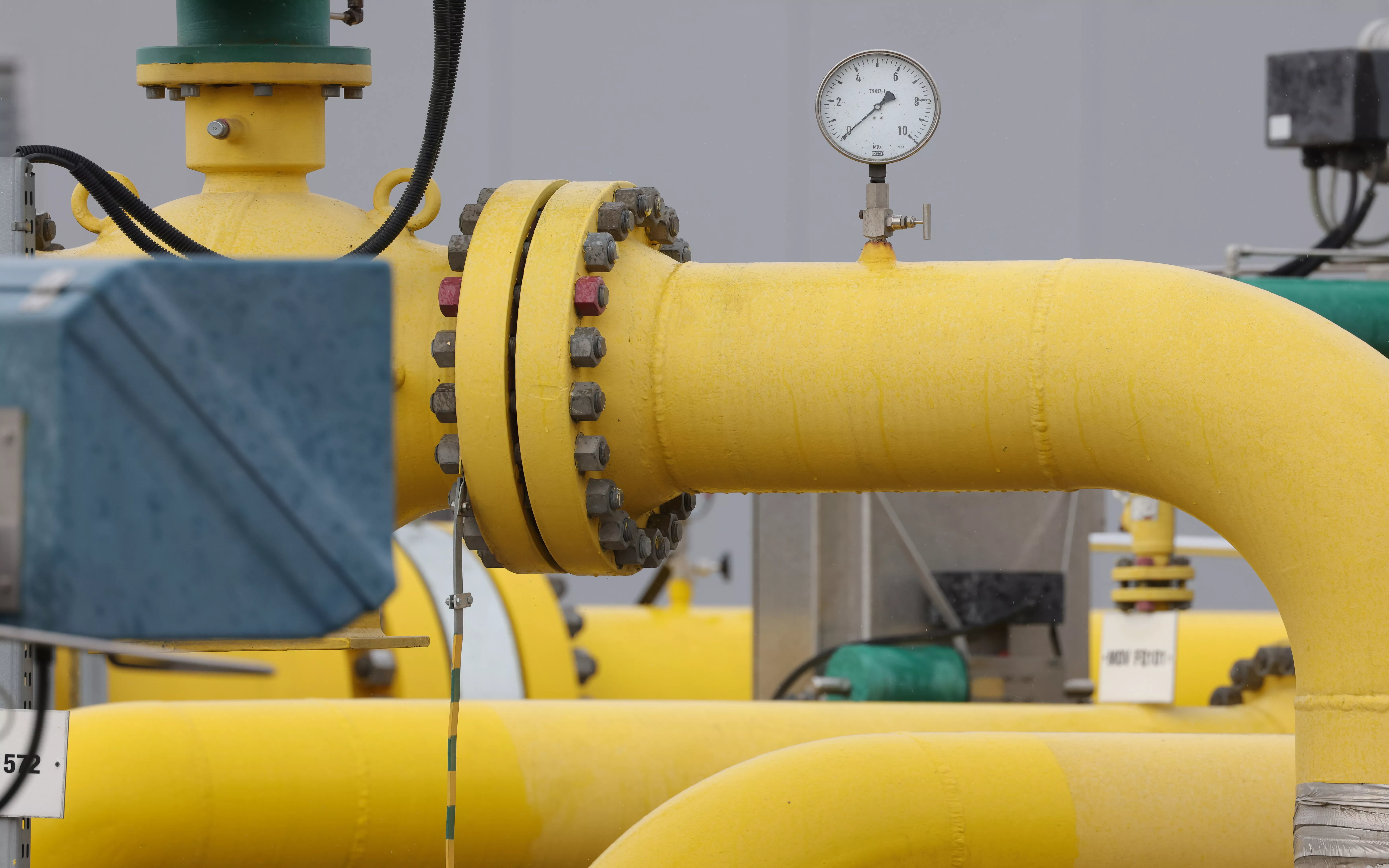 Sean Gallup / Getty Images News