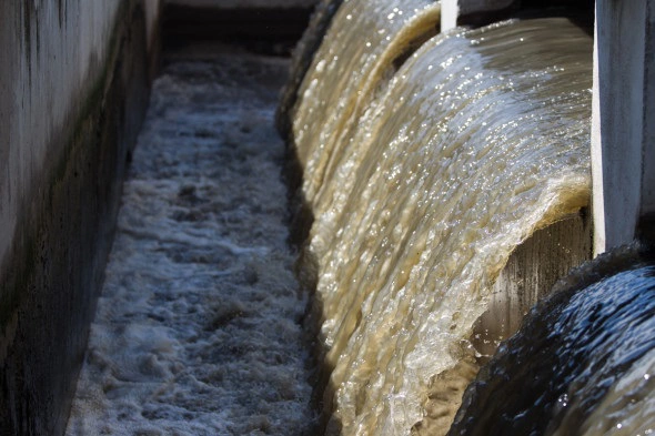 Александр Подгорчук