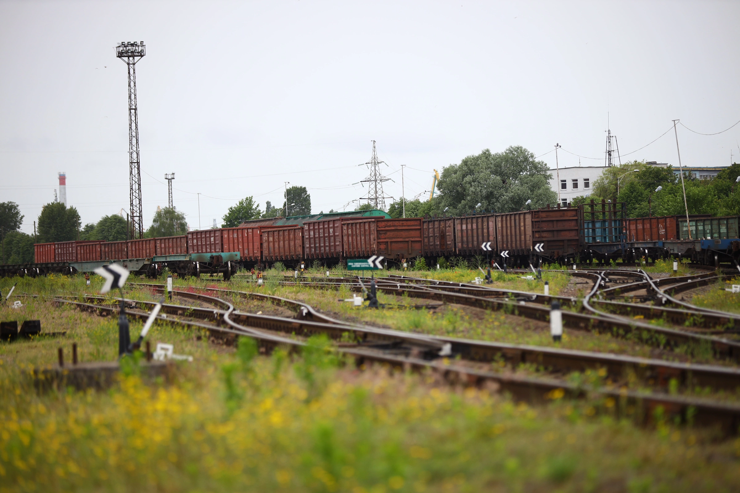 Александр Подгорчук