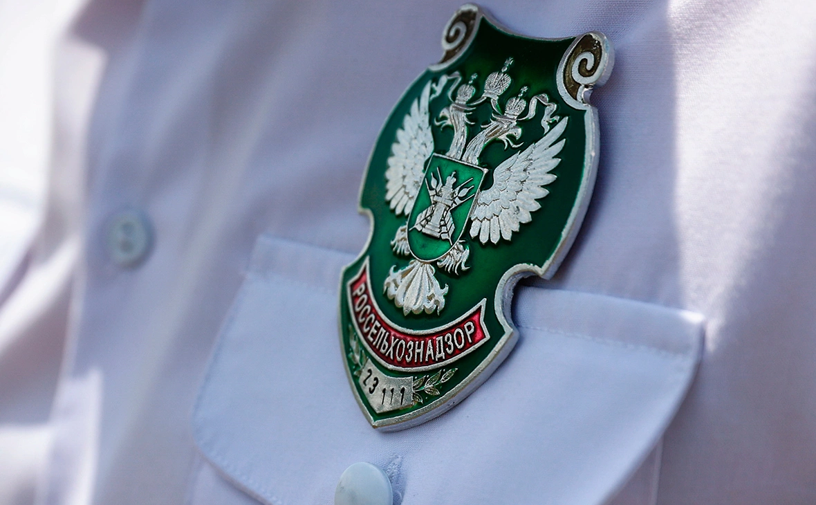 Виталий Тимкив / РИА Новости