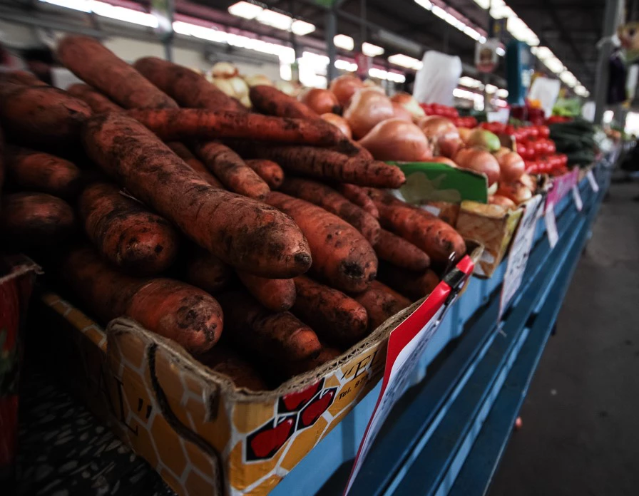 Александр Подгорчук