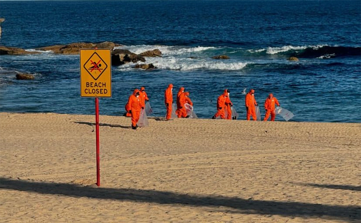  randwickcouncil / Instagram (принадлежит Meta, организация признана экстремистской и запрещена в России)