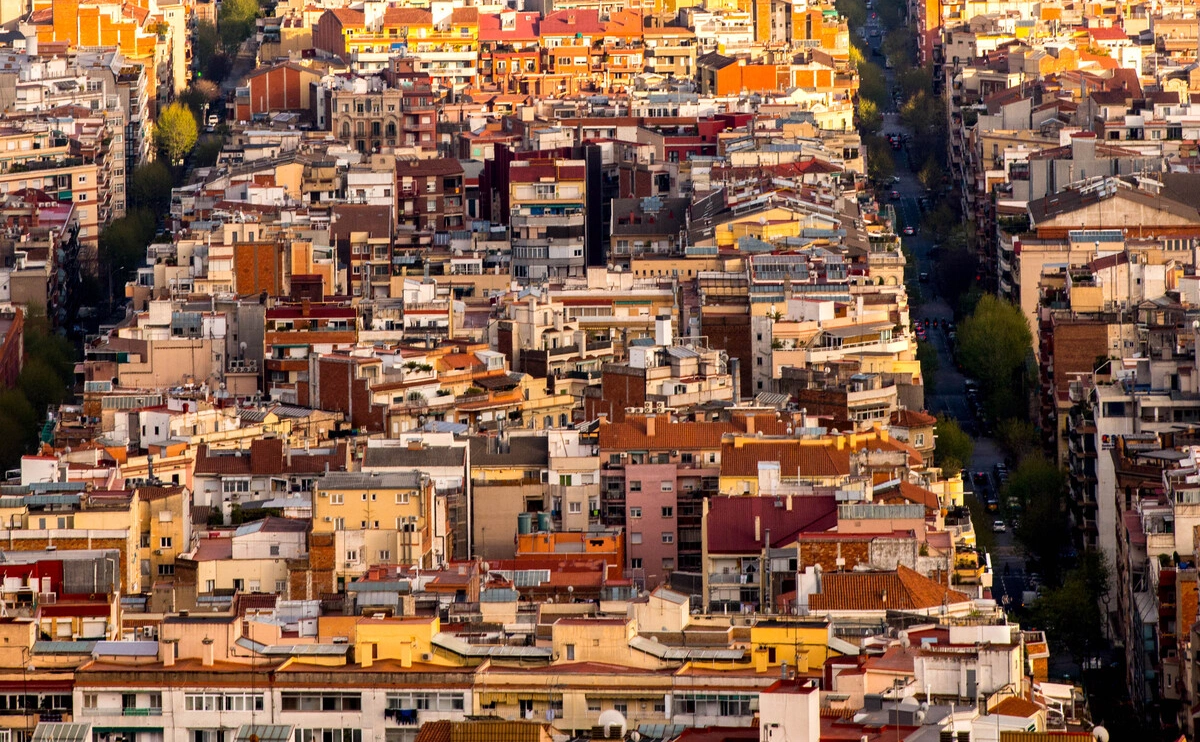 David Ramos / Getty Images