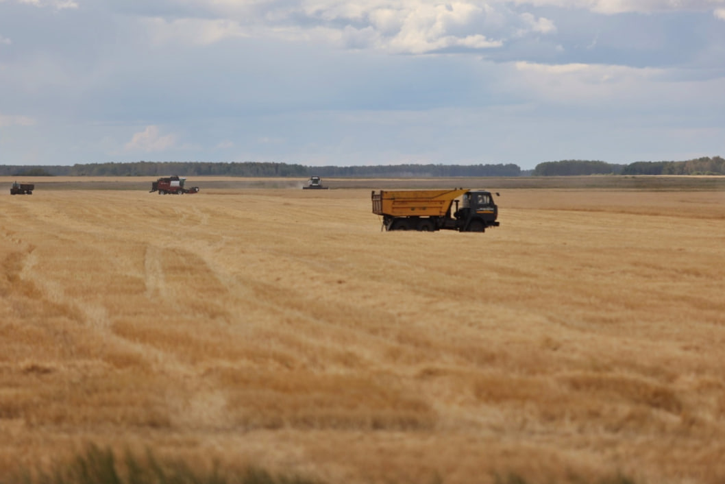 Фото: Екатерина Сычкова / URA.RU