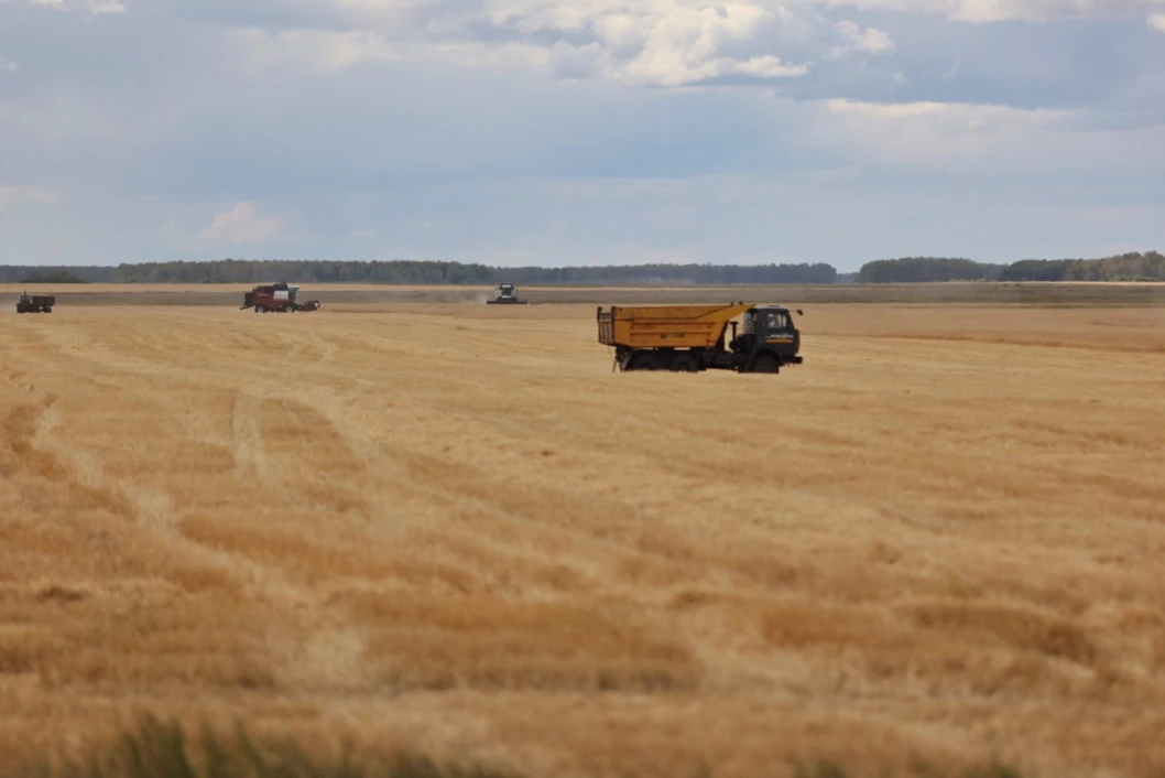 Екатерина Сычкова / URA.RU