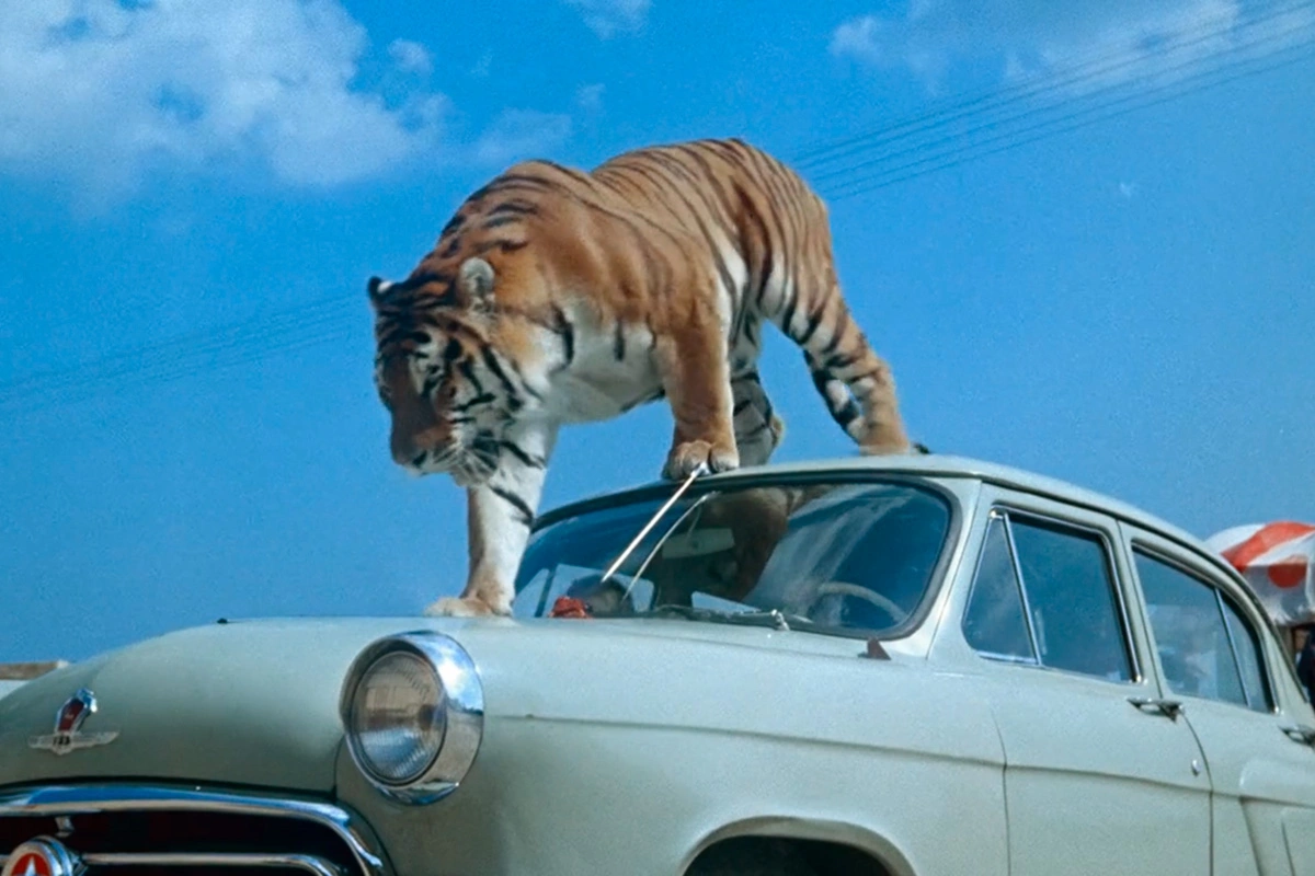 Кадр из фильма «Полосатый рейс» (1961), режиссер Владимир Фетин