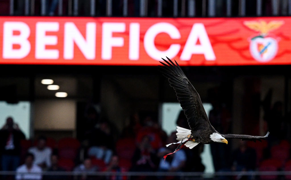 Octavio Passos / Getty Images