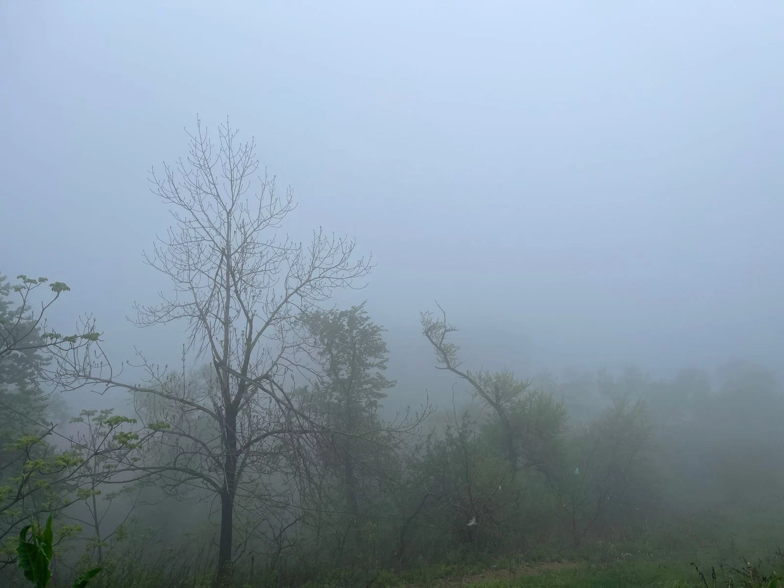 РБК Приморье