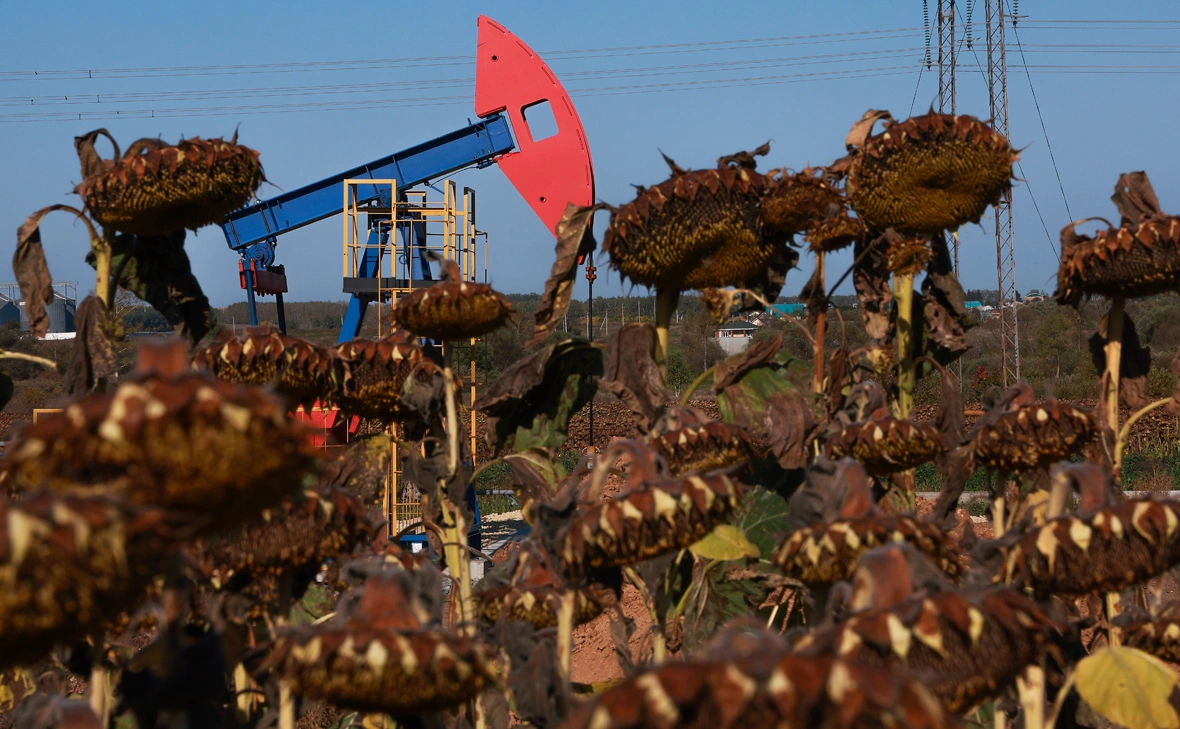 Егор Алеев / ТАСС