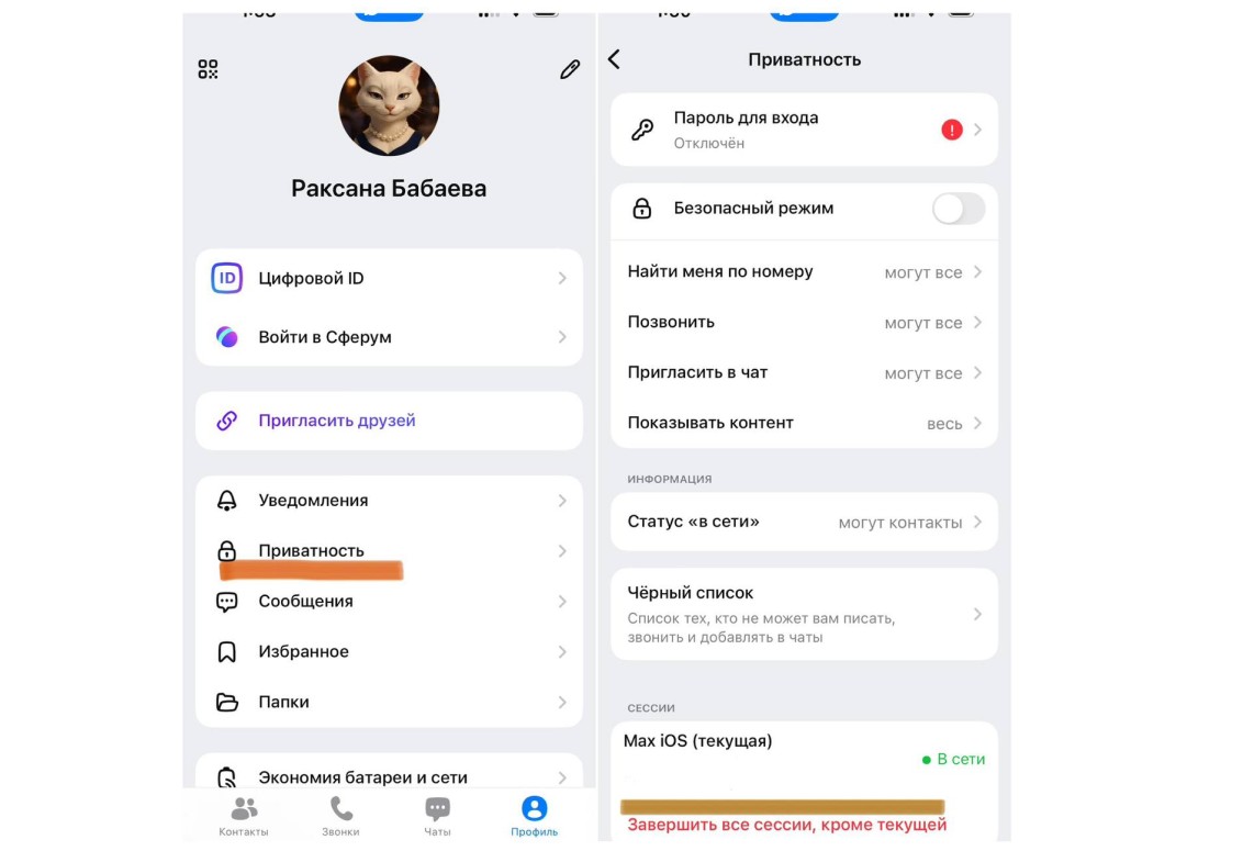 Так в разделе &laquo;Приватность&raquo; выглядит команда &laquo;Завершить все сеансы, кроме текущего&raquo;