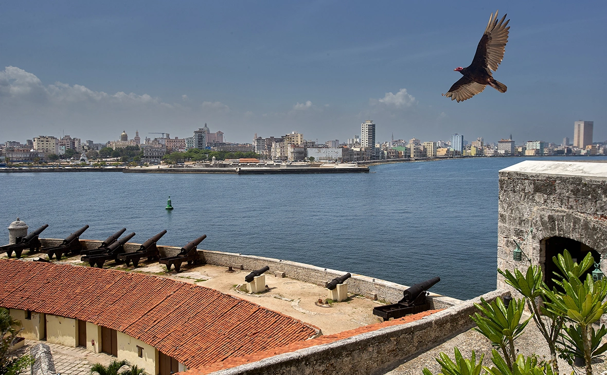 Beto Santillan / Shutterstock