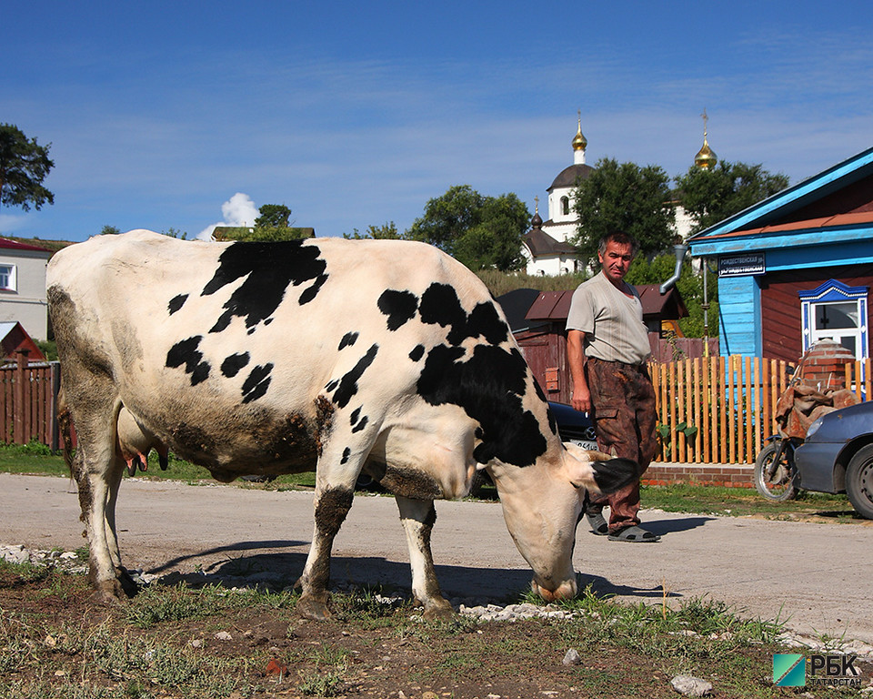 Сельхозпроизводство в Татарстане выросло на 1,4% до 90 млрд рублей