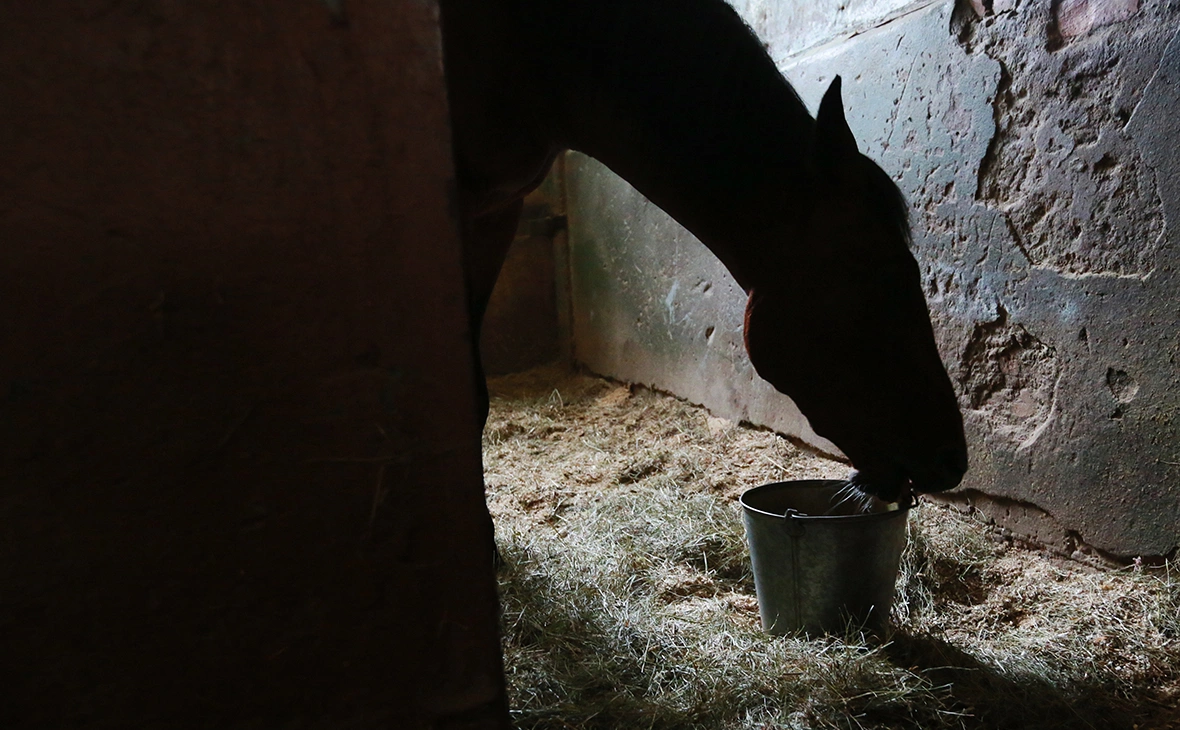 Павел Смертин / ТАСС