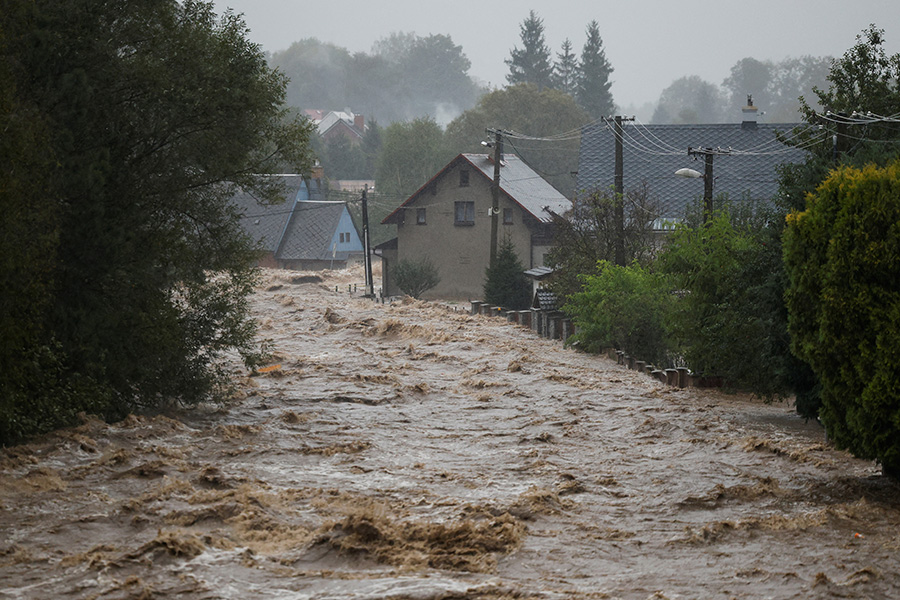 Фото: David W Cerny / Reuters