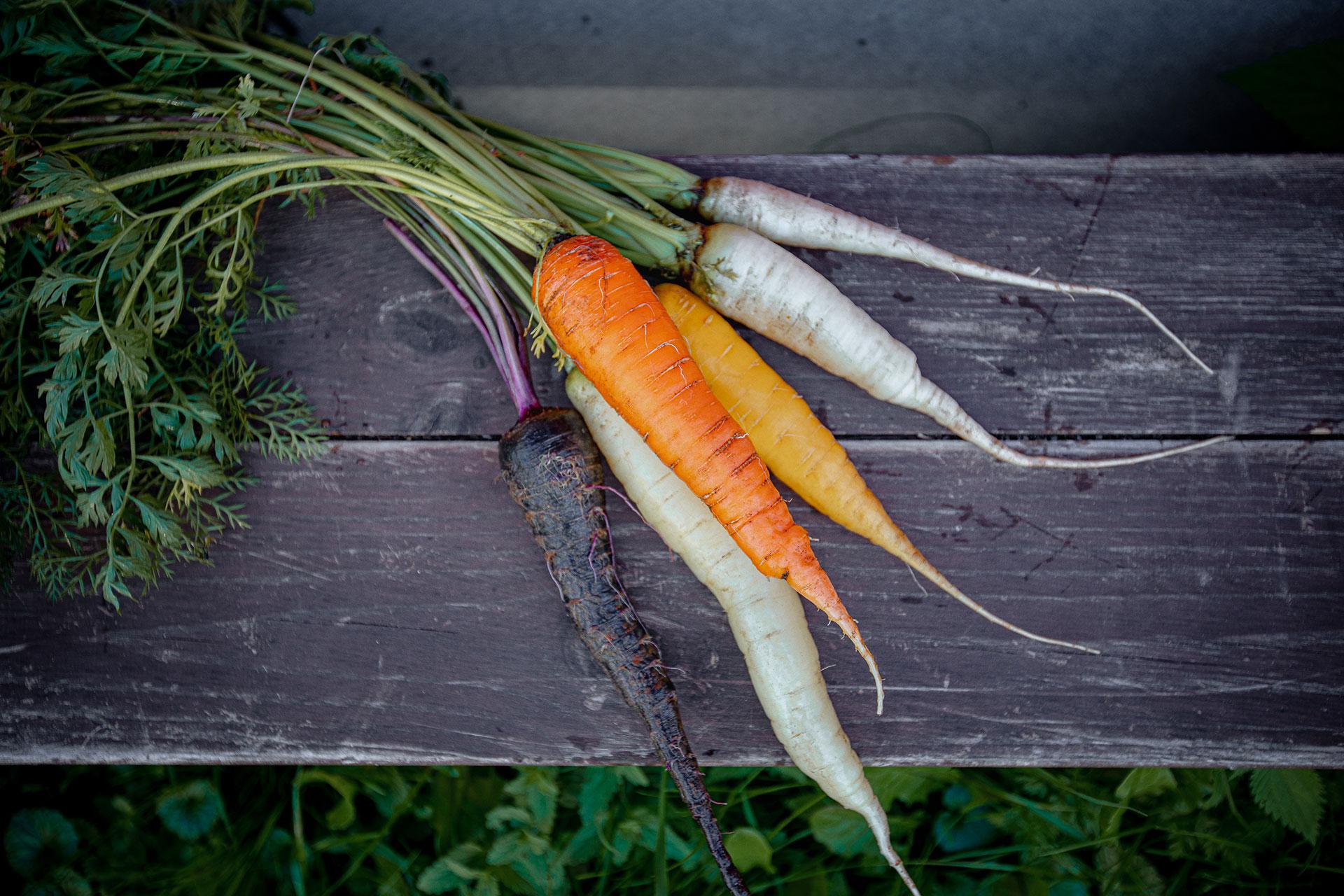 Ферма Twins Garden