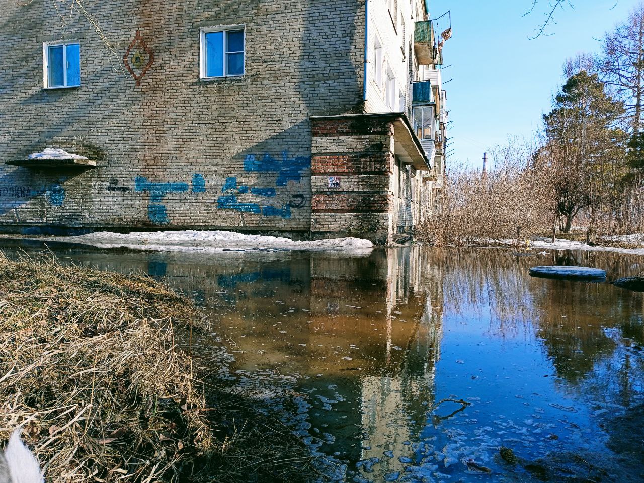 Фото: Алексей Коваленок / РБК Новосибирск 