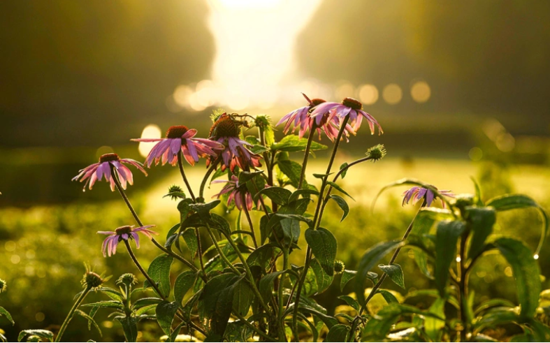 MAGO / Photo News / ТАСС