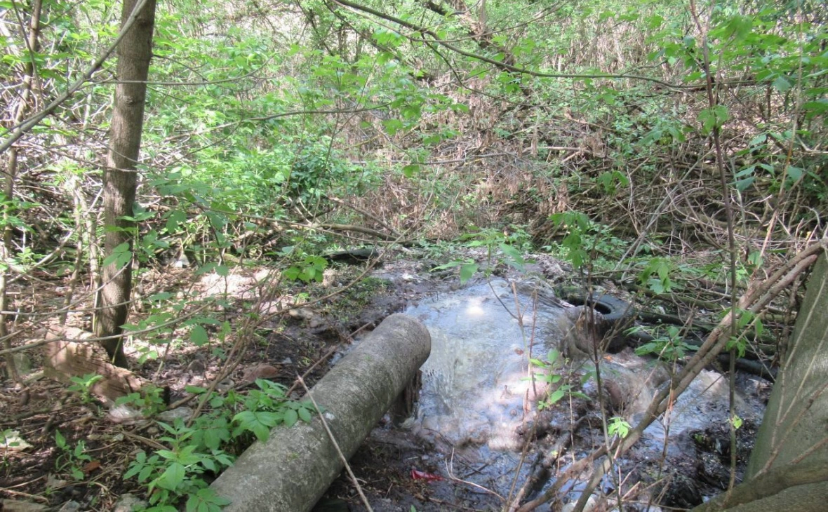 пресс-служба министерства природных ресурсов Курской области