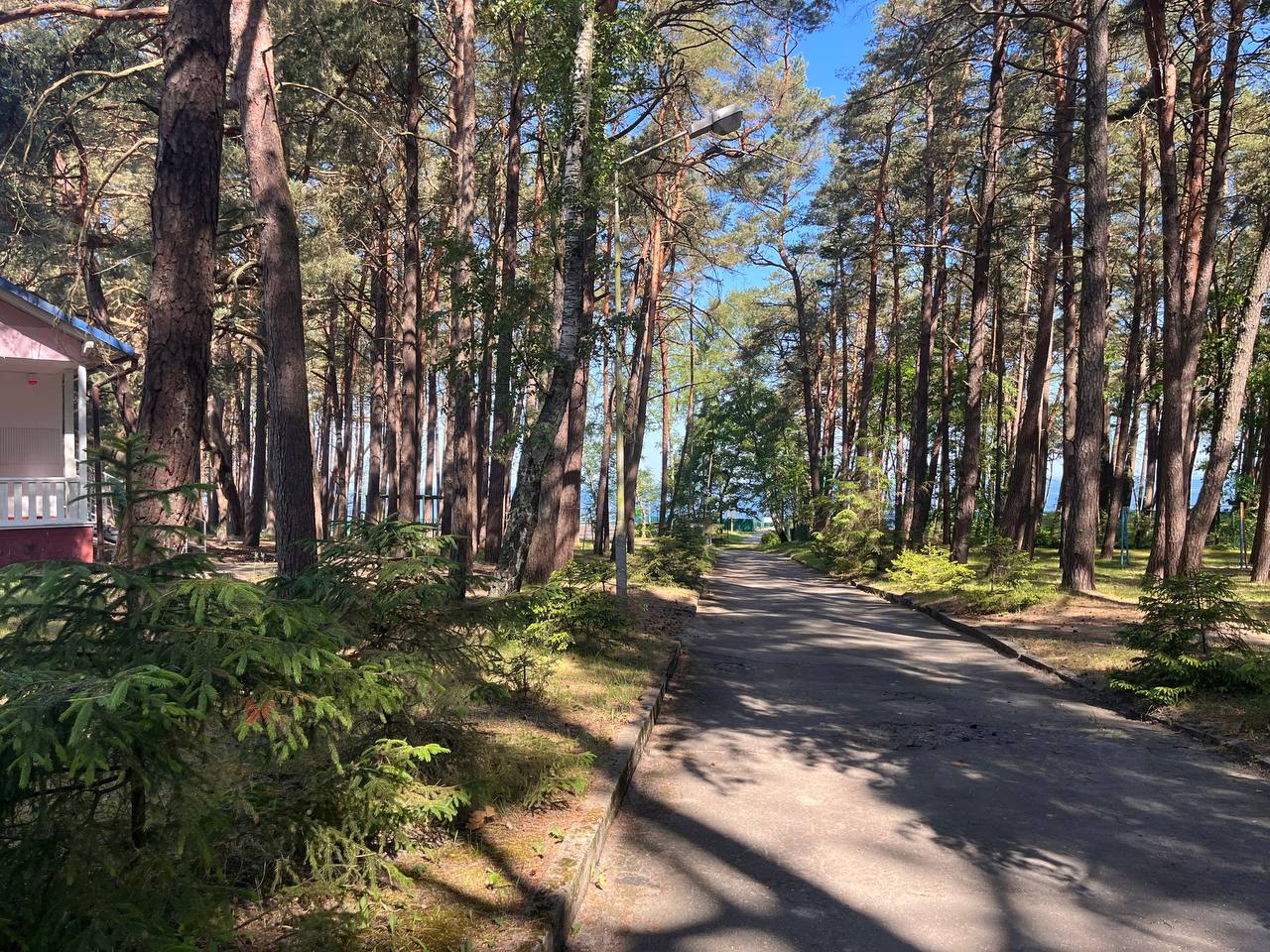 Фото: Александр Подгорчук