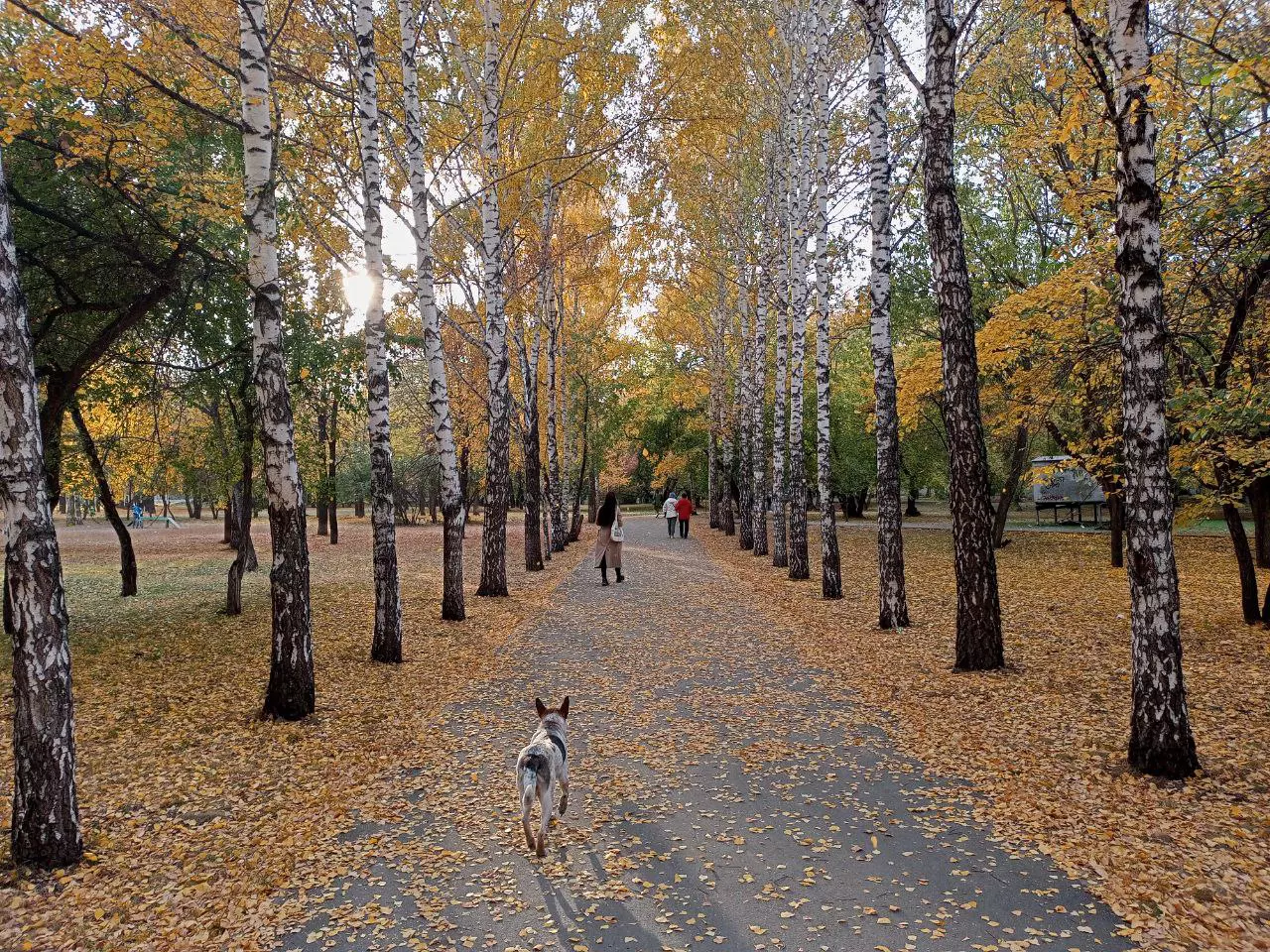 Алексей Коваленок / РБК Новосибирск