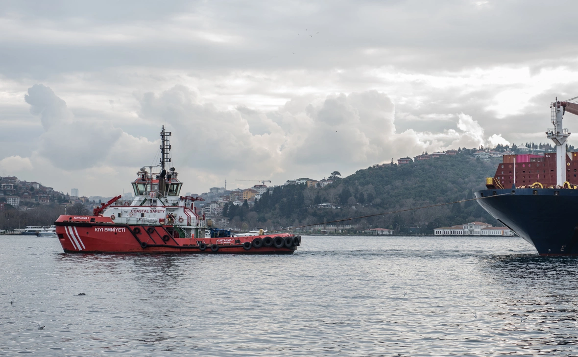 4.murat / Shutterstock