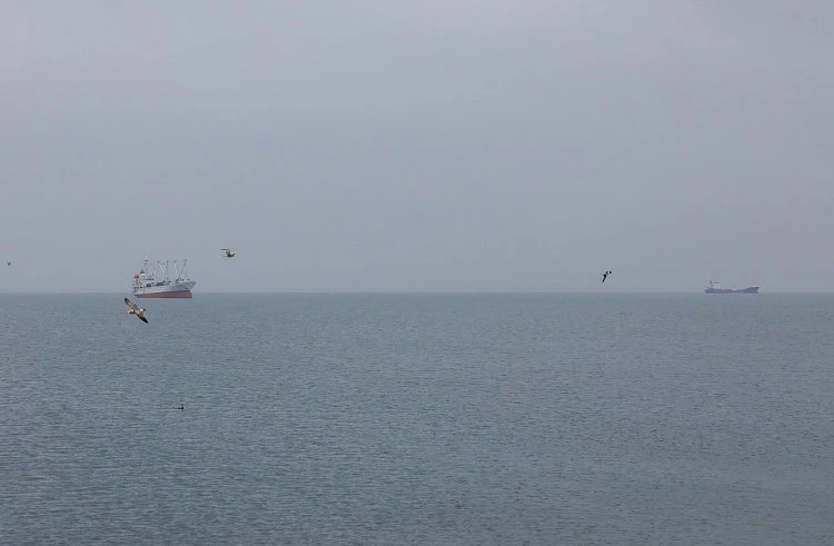 правительство Приморского края