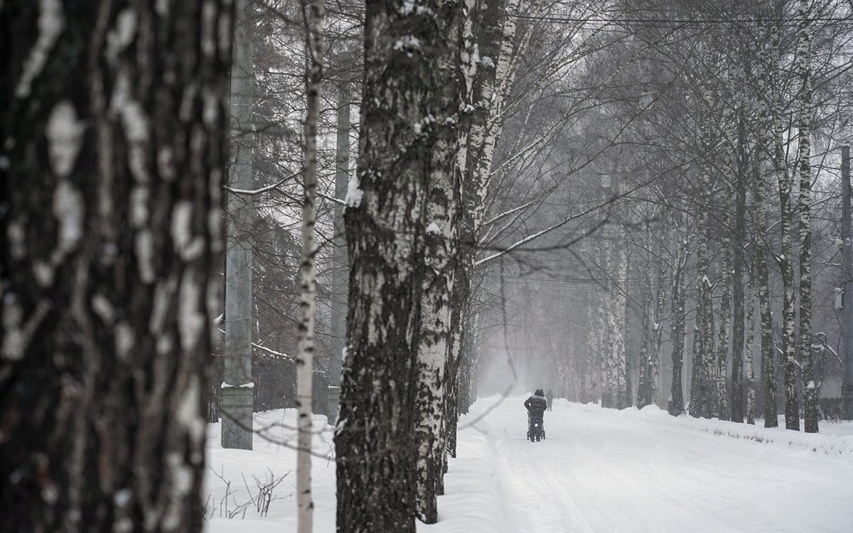 Жителей Центральной России предупредили о снегопадах и понижении давления