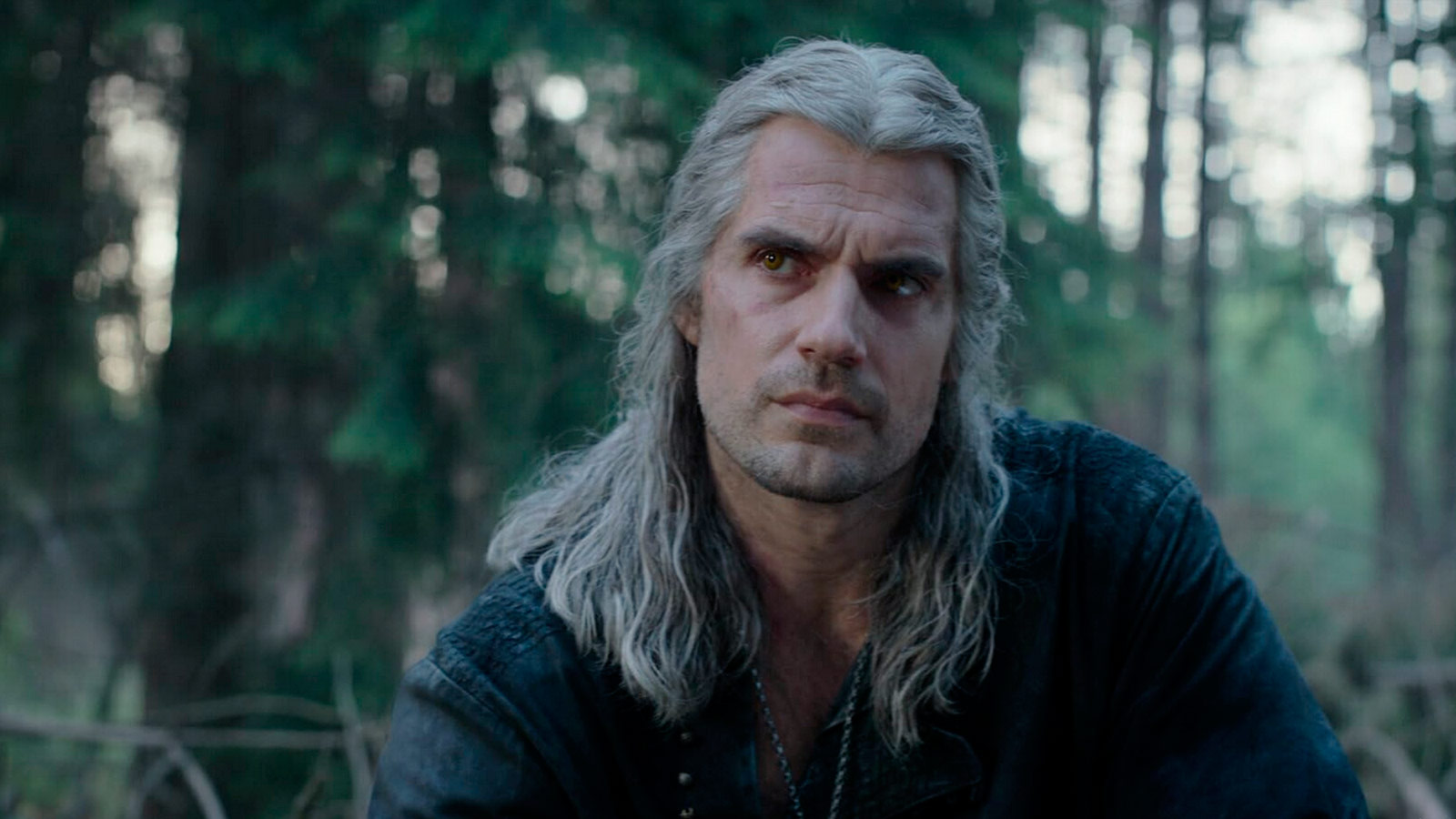 The witcher season 3 watch online in english фото 57