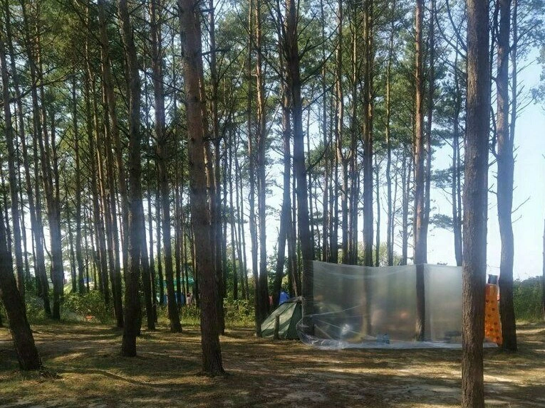 «Клопс»