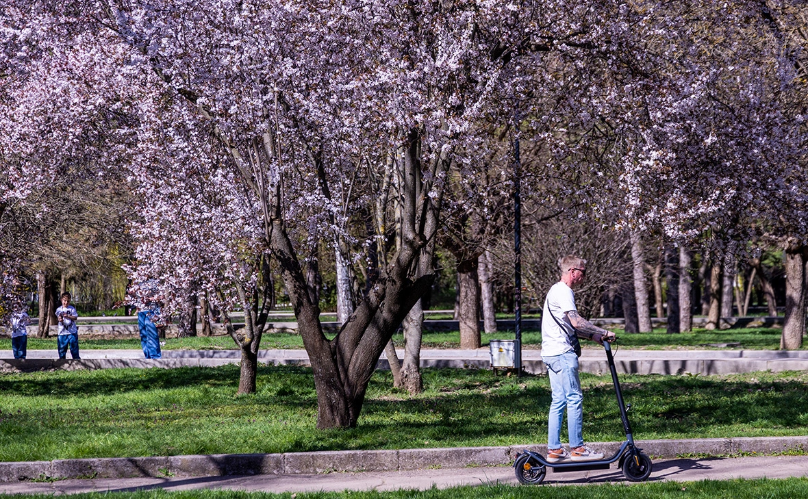 Андрей Рубцов / ТАСС