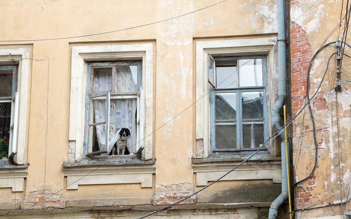 Фото: Omaly Darcia / Shutterstock / FOTODOM