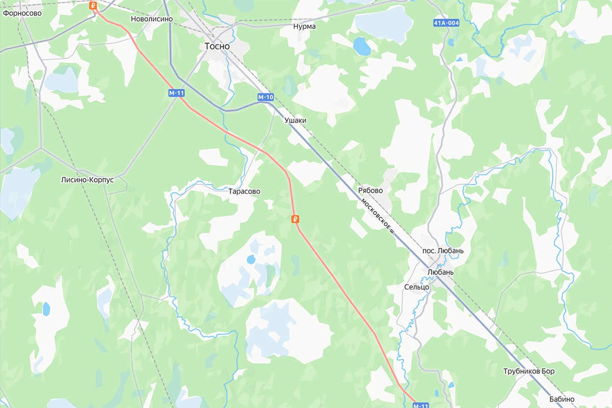 Смешанные леса славятся крупными экземплярами