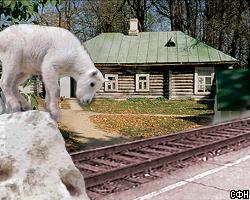 "Ясную Поляну" переименуют в "Козлову Засеку"